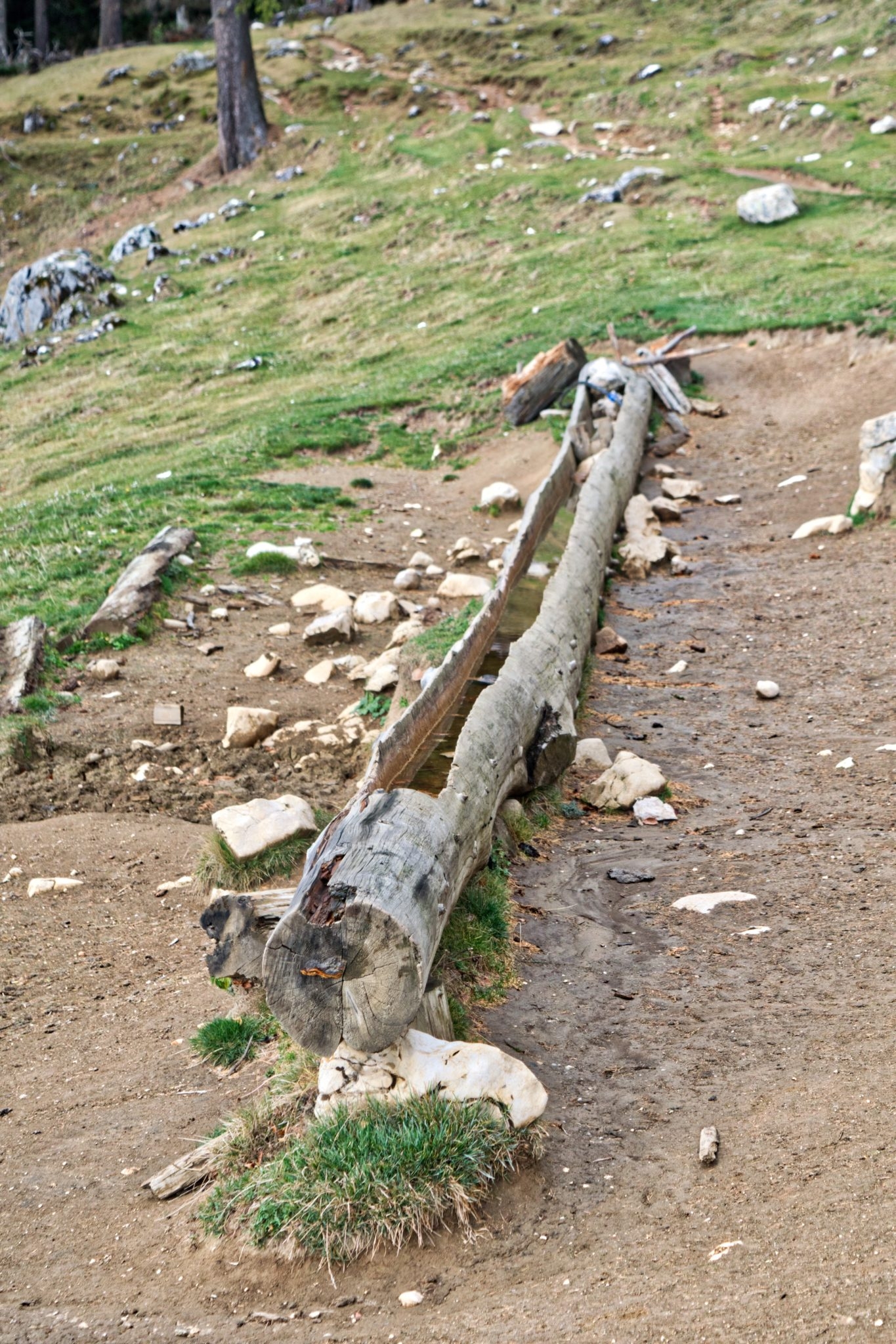 Piatra Craiului, Romania