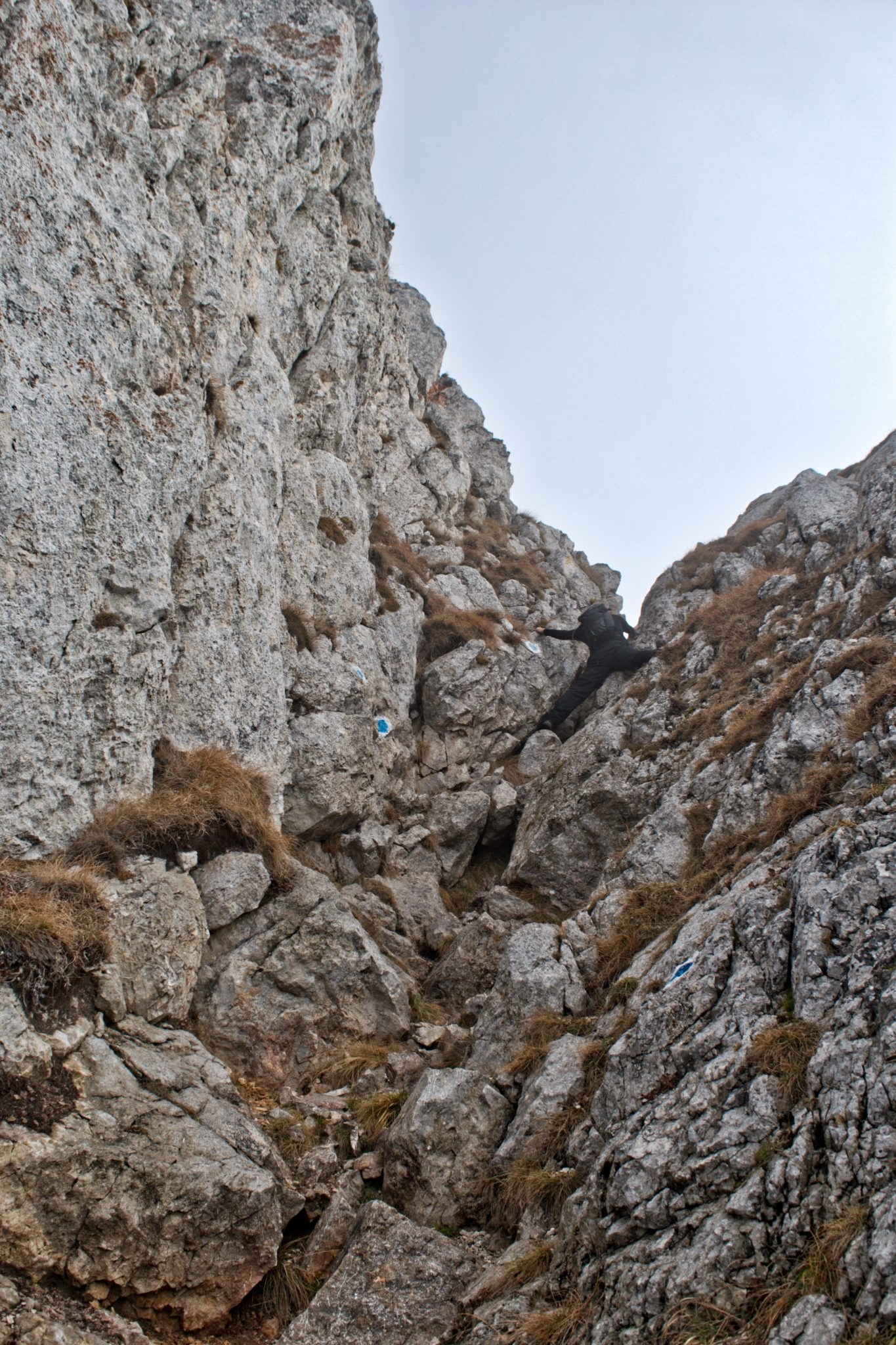 Piatra Craiului, Romania