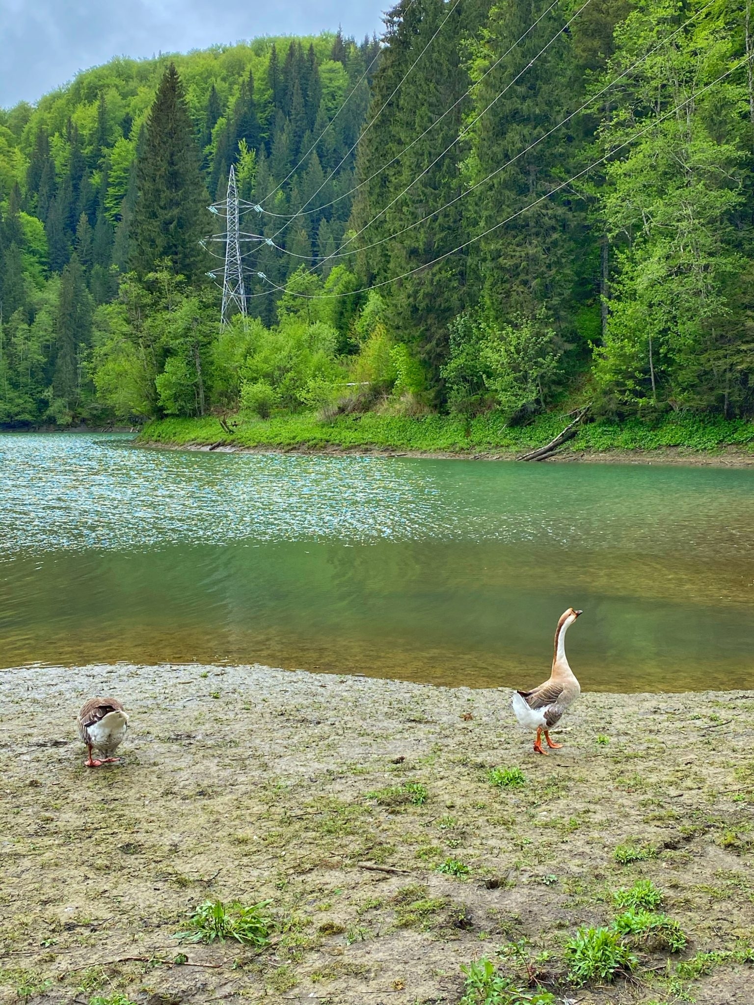 Scropoasa Lake, Mt Bucegi